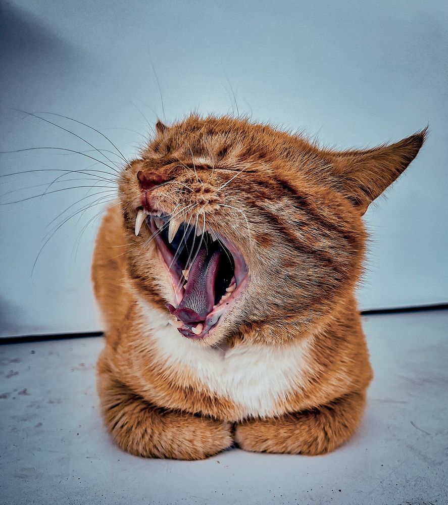 Photograph by Александр Мандрико