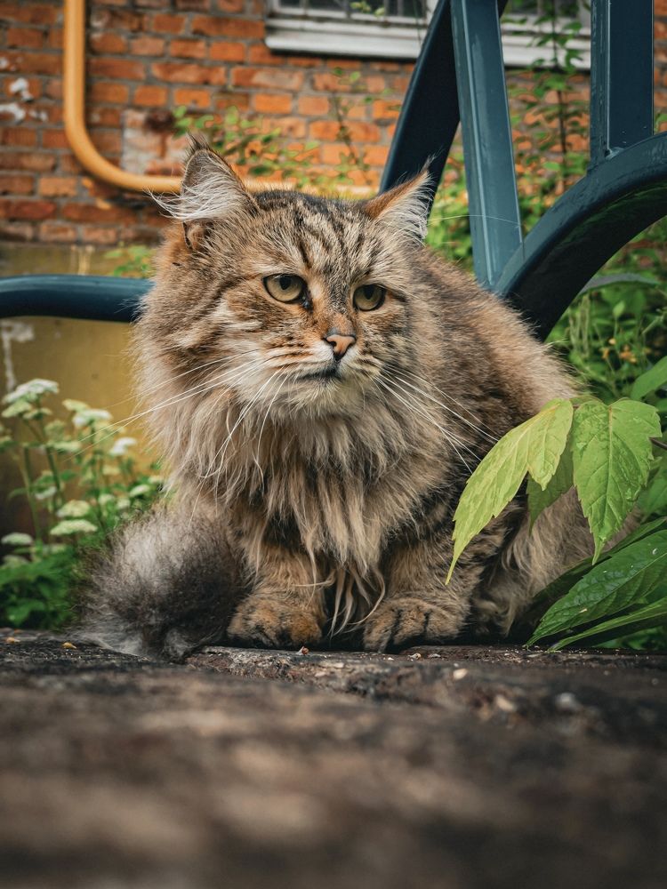 Photograph by Александр Мандрико