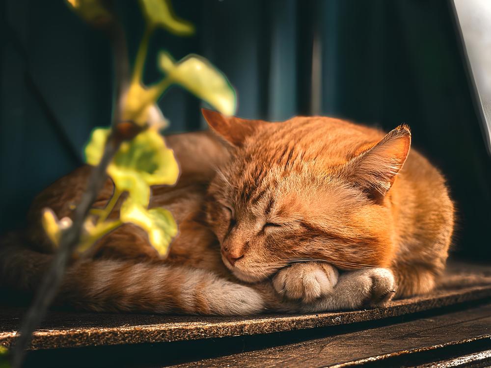 Photograph by Александр Мандрико