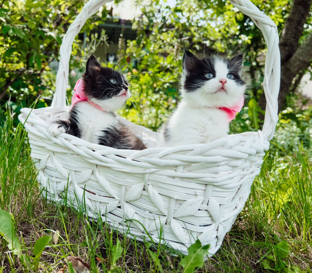 Photograph by Polina