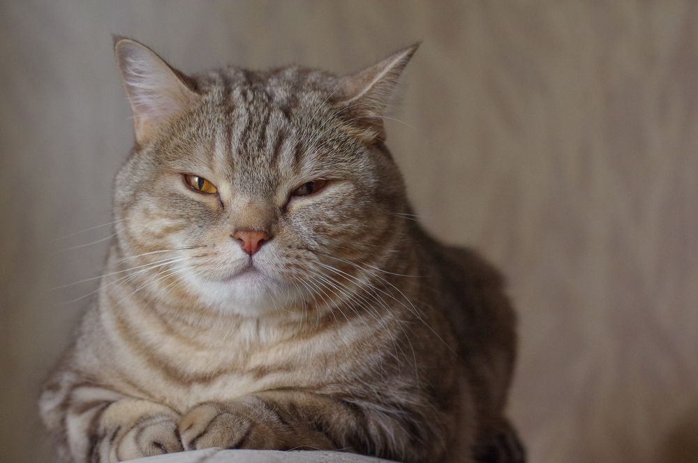 Photograph by Криволуцкий Вячеслав