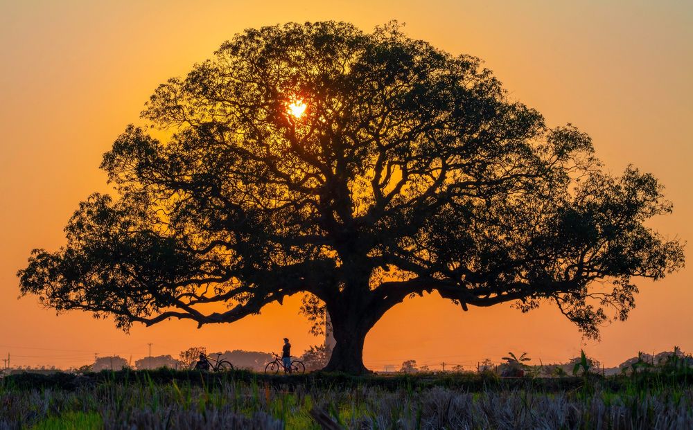 Photograph by Vuong Bui