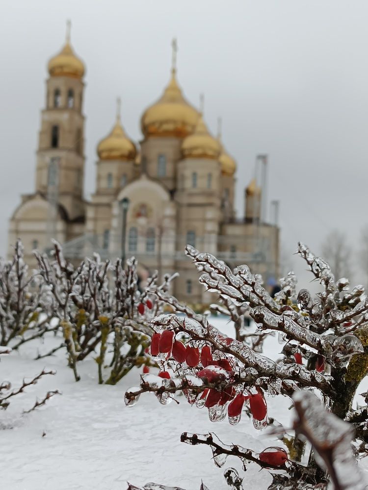 Photograph by Сидорова Ирина