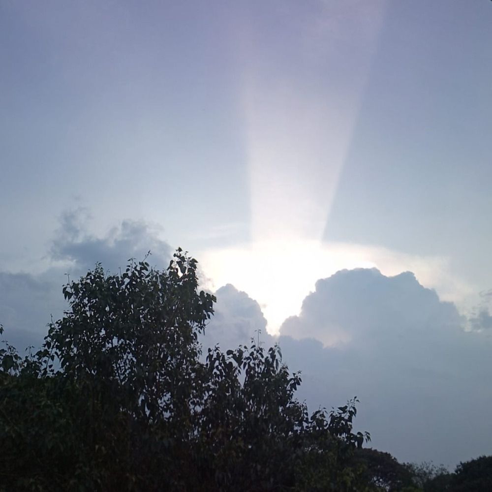 Photograph by Varsha G