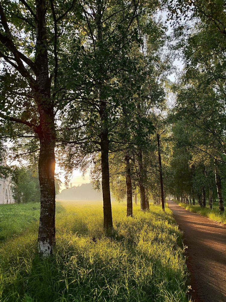 Фотография автора Татьяна Иванова