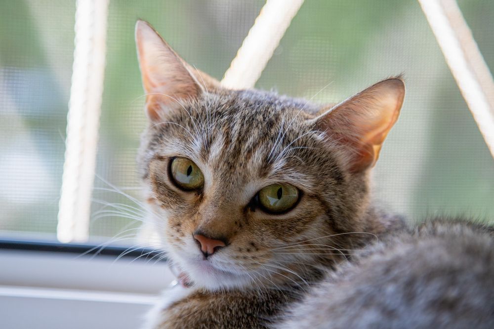 Photograph by Илья Сторожко