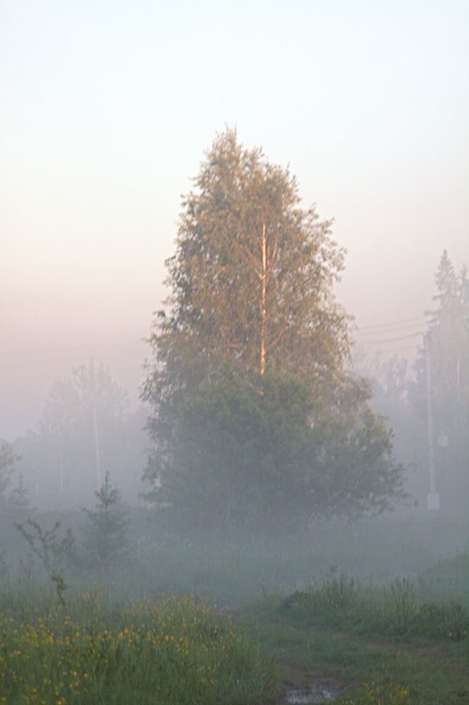 Photograph by Александр Макаренко