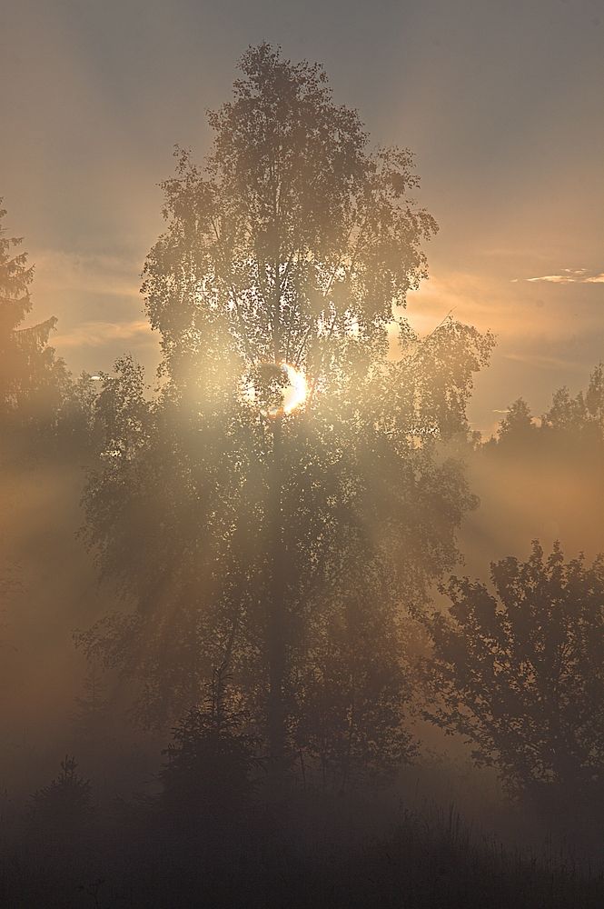 Photograph by Александр Макаренко