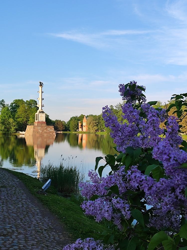 Фотография автора Татьяна Иванова