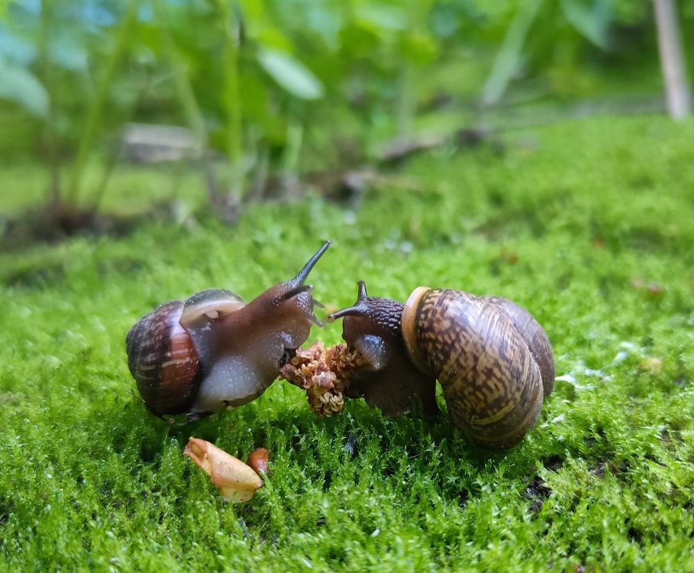 Фотография автора Светлана Смирнова