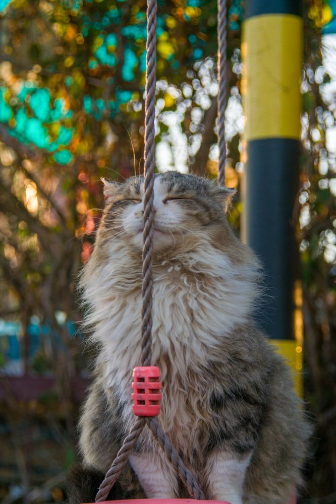 Photograph by Олег Алексеев