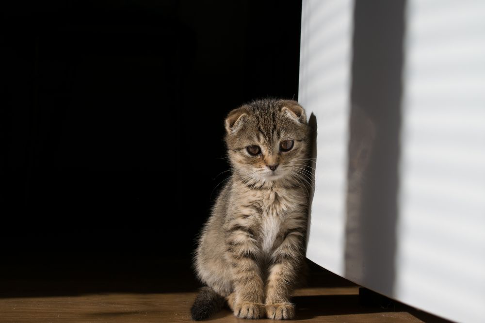 Photograph by Олег Алексеев