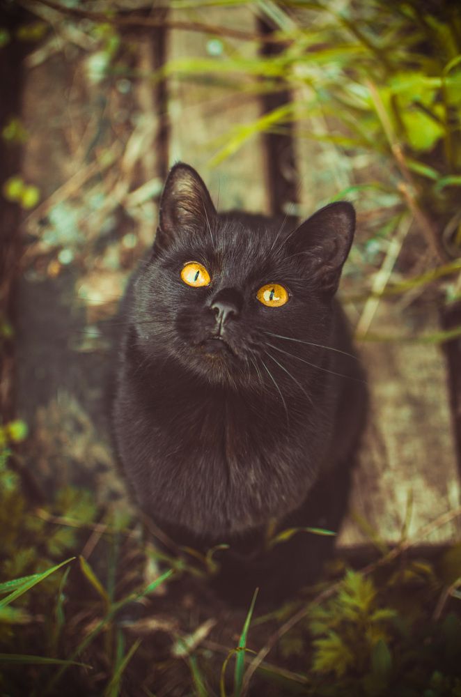 Photograph by Артём Шестаков