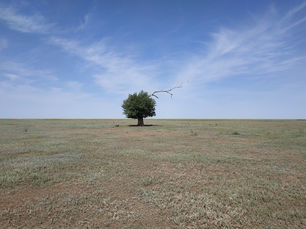 Фотография автора Денис Черных