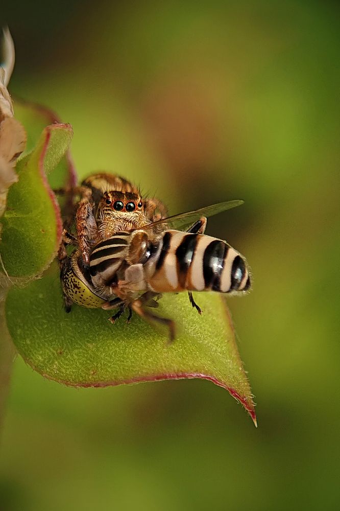 Photograph by AVISHEK MUKHERJEE