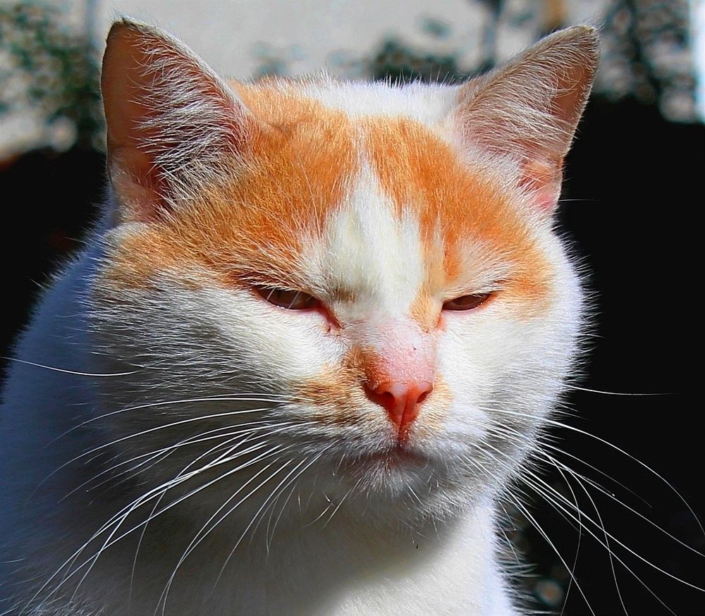 Photograph by Юлия Иванова