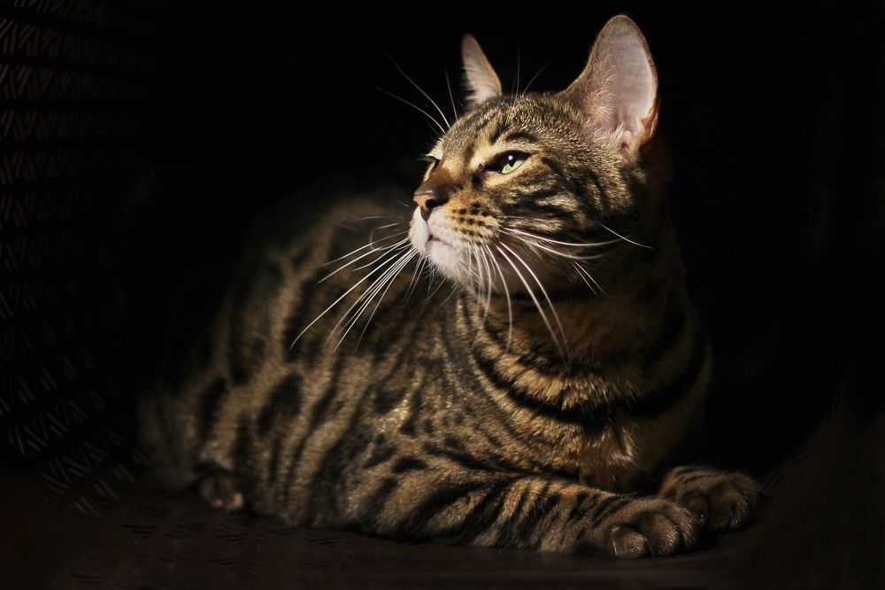 Photograph by Оксана Сухаричева