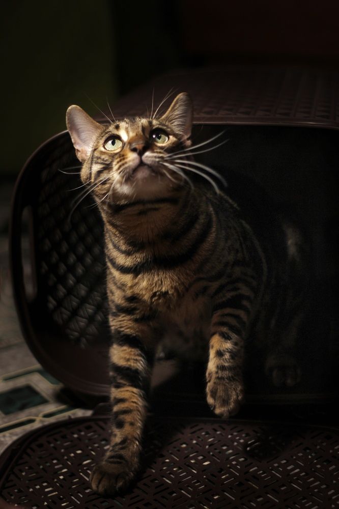 Photograph by Оксана Сухаричева