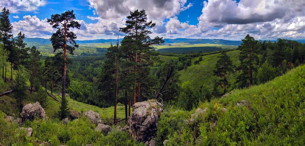 Photograph by Batjargal Lkhagvasuren