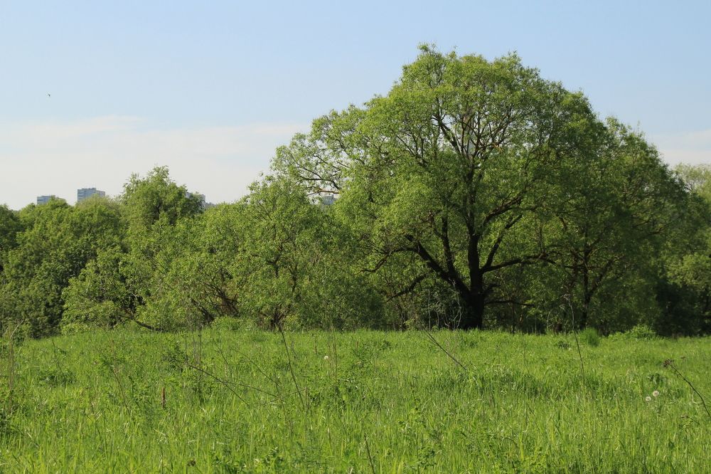 Photograph by Илья Беликов