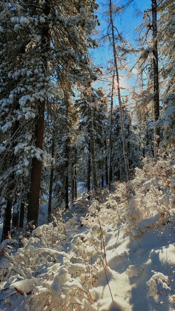 Photograph by Batjargal Lkhagvasuren