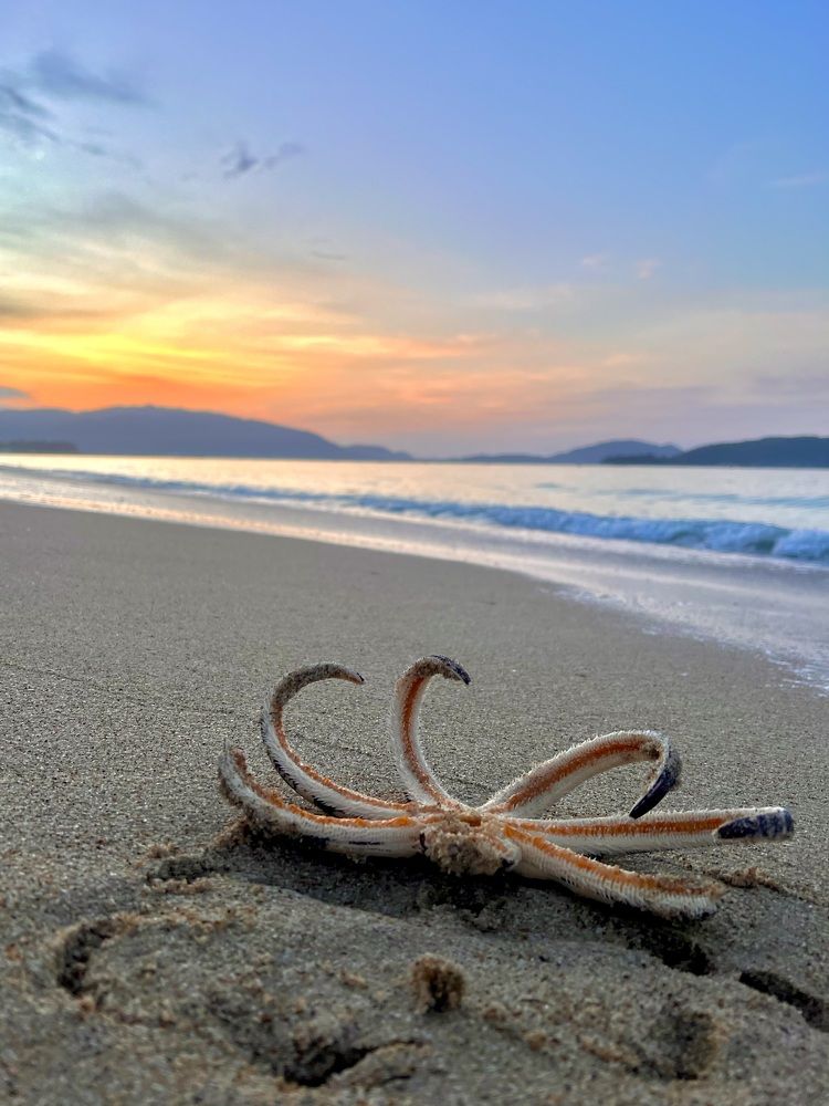 Photograph by Елена Ковалева