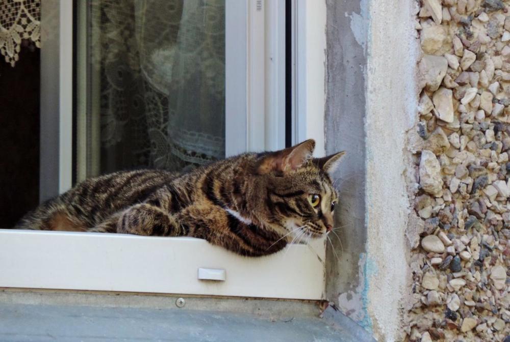 Photograph by Павел Васильев