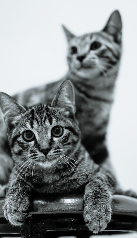 Photograph by Bumiaskara Loka