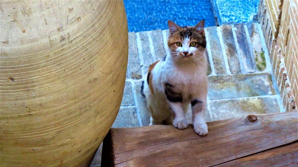 Ops, you're there ...