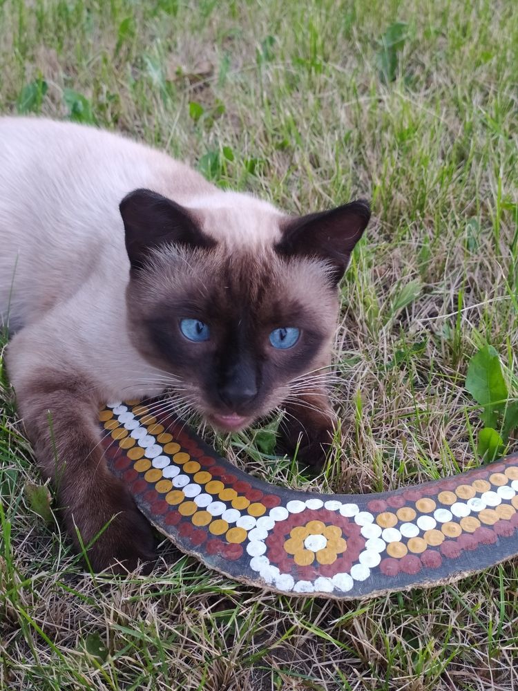 Фотография автора Елена Александрова