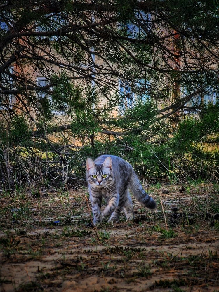 Photograph by Konstantin Martynov