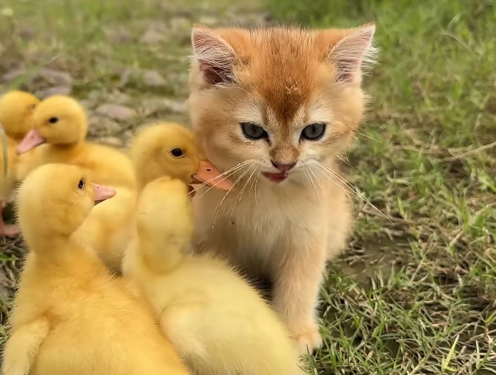 Друг - смотрящий с тобой в одну сторону