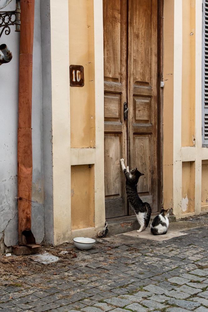 Photograph by Дарымов Владимир