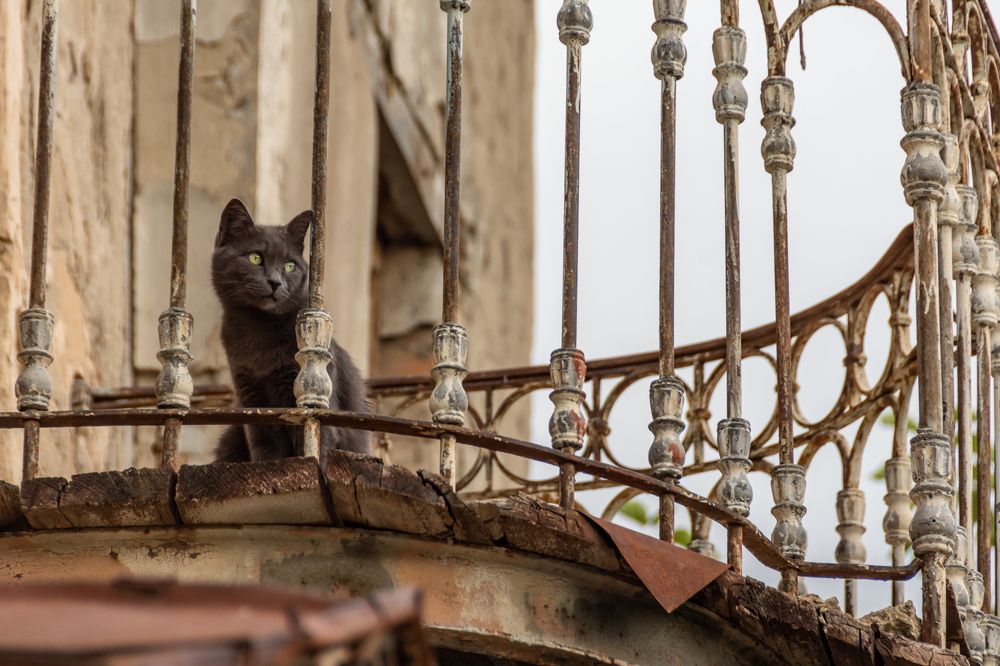 Photograph by Дарымов Владимир