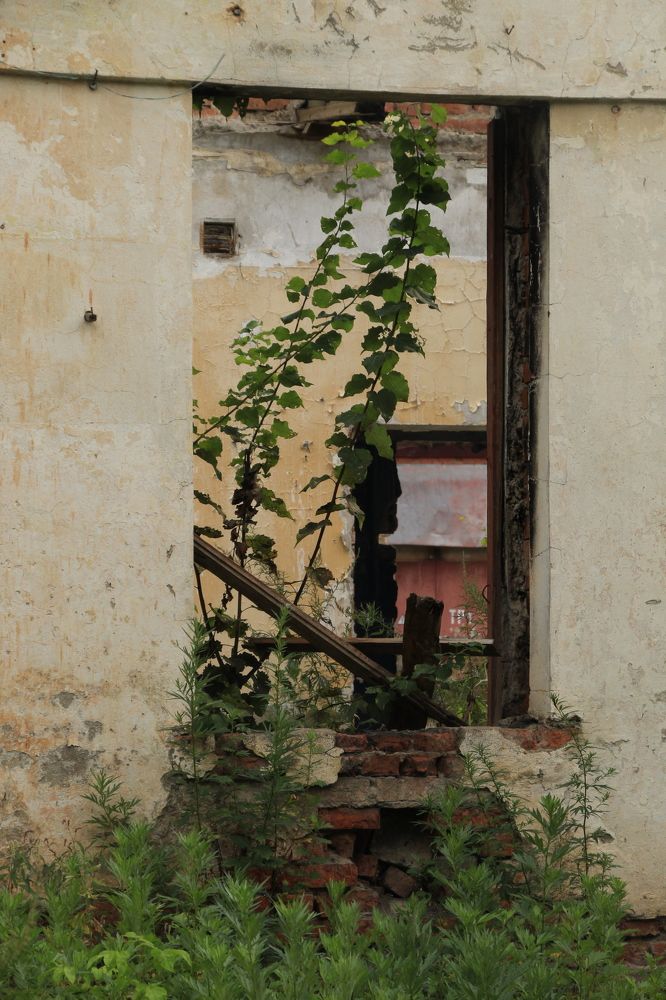 Photograph by Илья Беликов