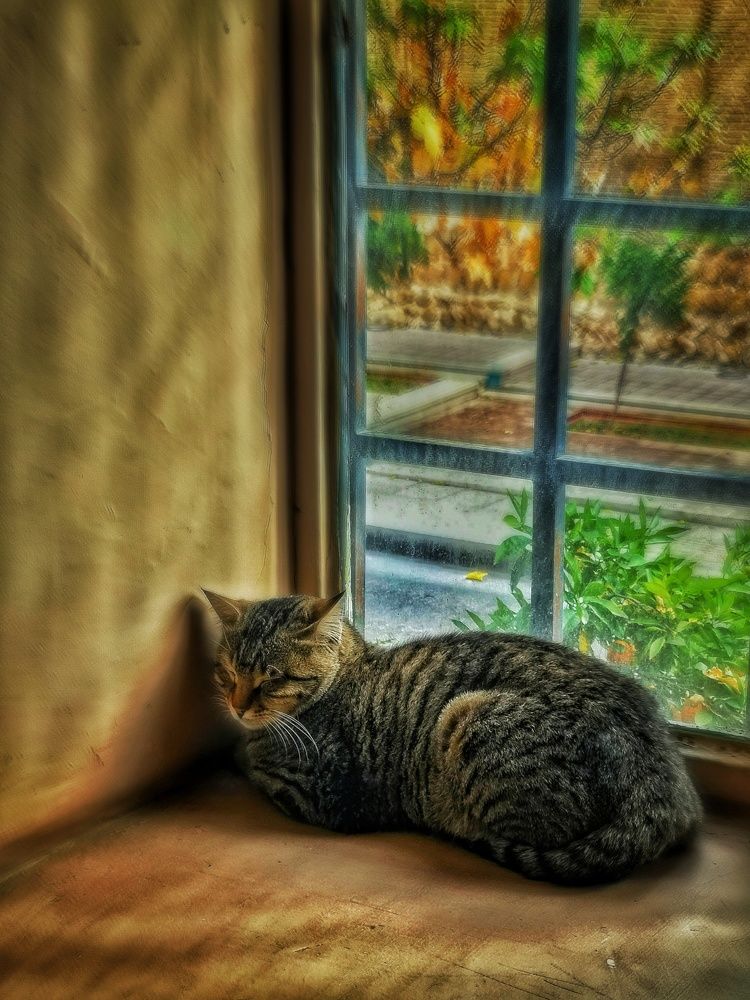 Photograph by anahita peymani