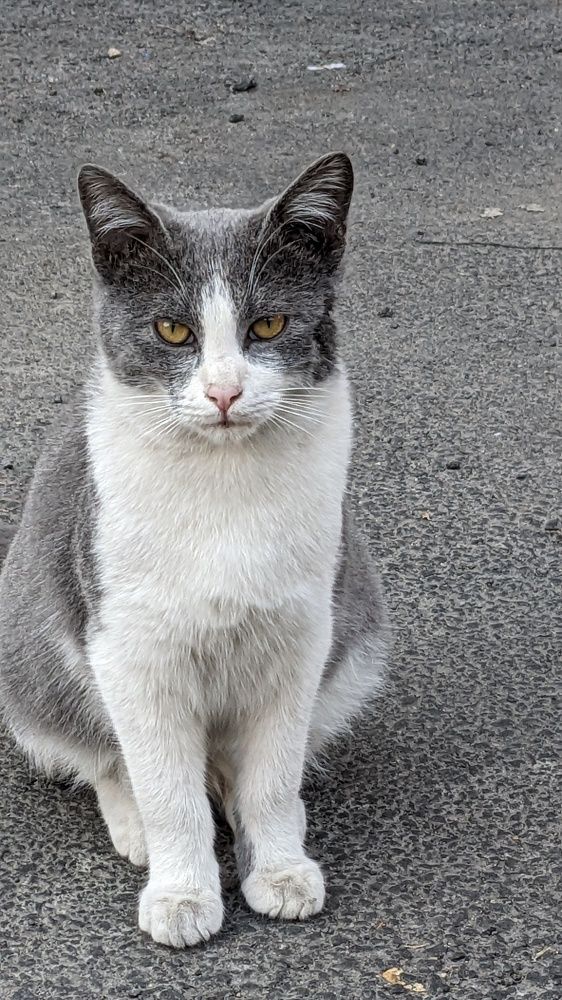 Photograph by Lilit Petrosyan