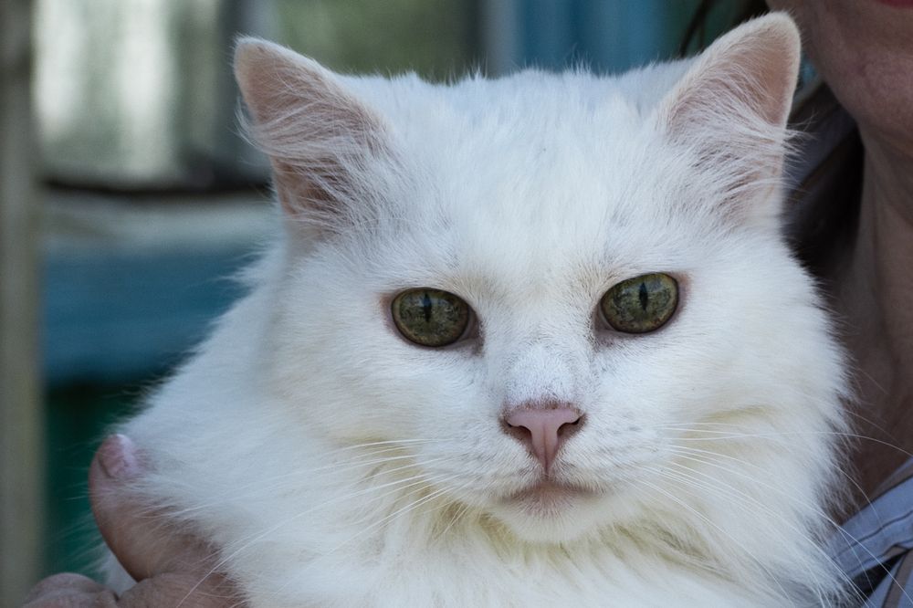 Photograph by Ольга Салтыкова