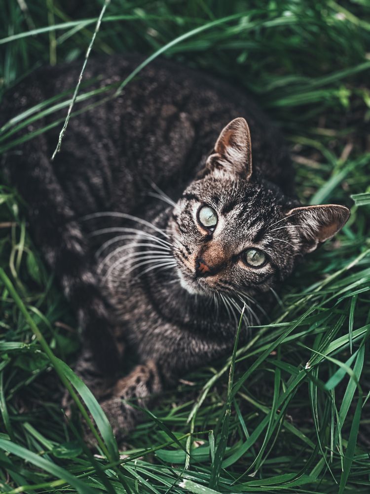 Photograph by Polina