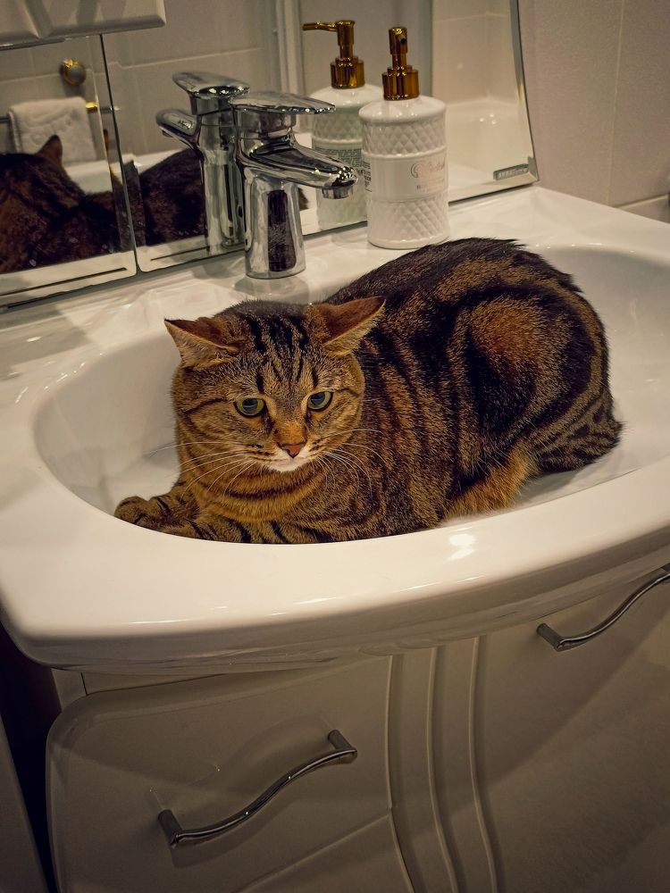 Photograph by Наталья Баруля