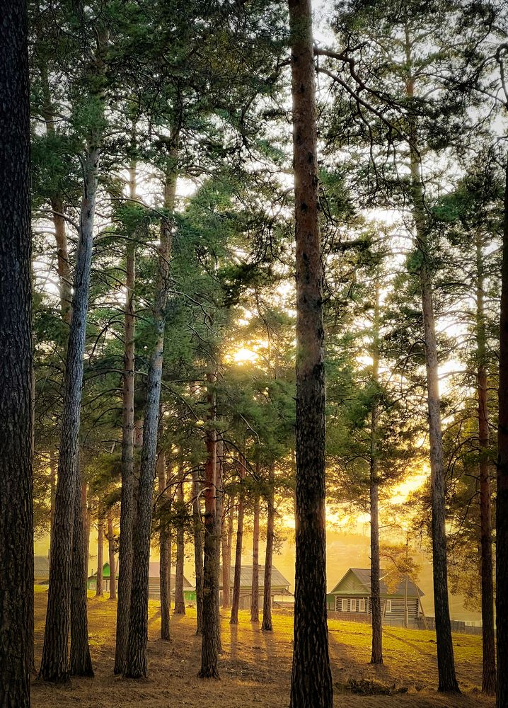 Фотография автора Дарья Кузнецова