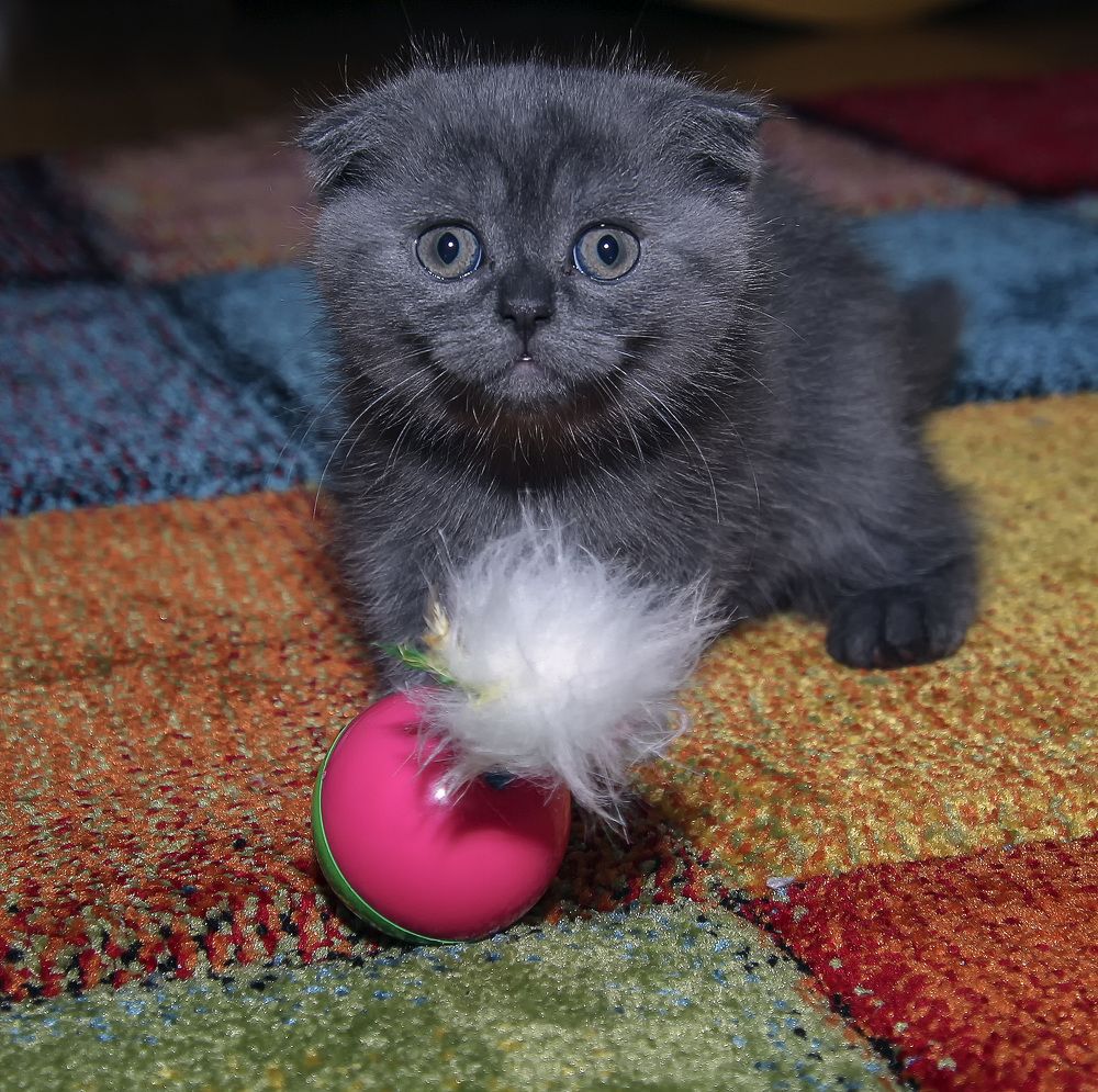 Фотография автора Александр