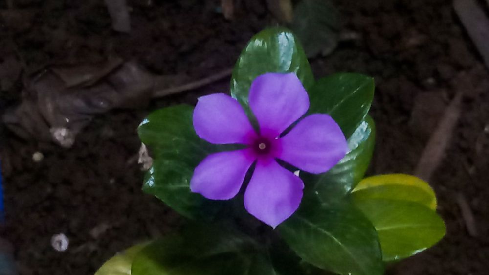 Photograph by Ambewadikar sourabh