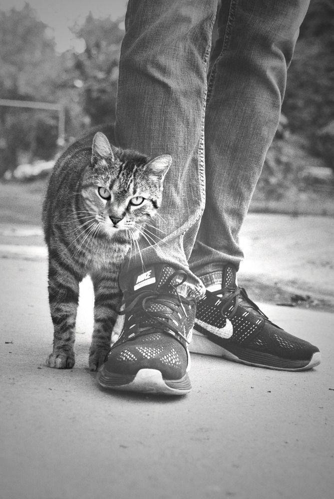 Фотография автора Мария