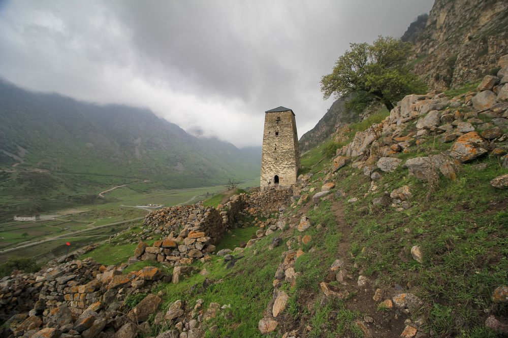 Photograph by Tatyana Fedenkova