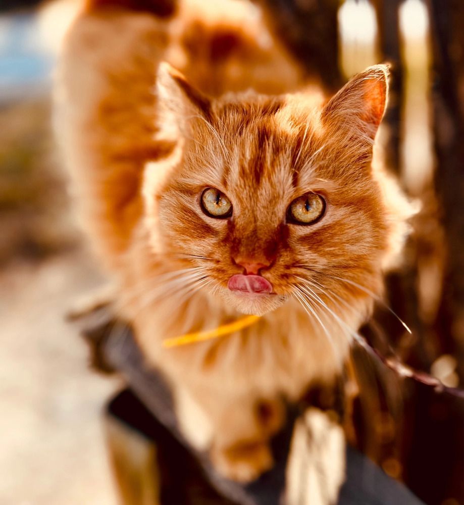 Photograph by Ирина Кожухова