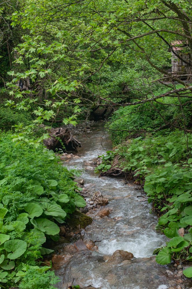 Фотография автора DIMITRIS MPAZIOTOPOULOS