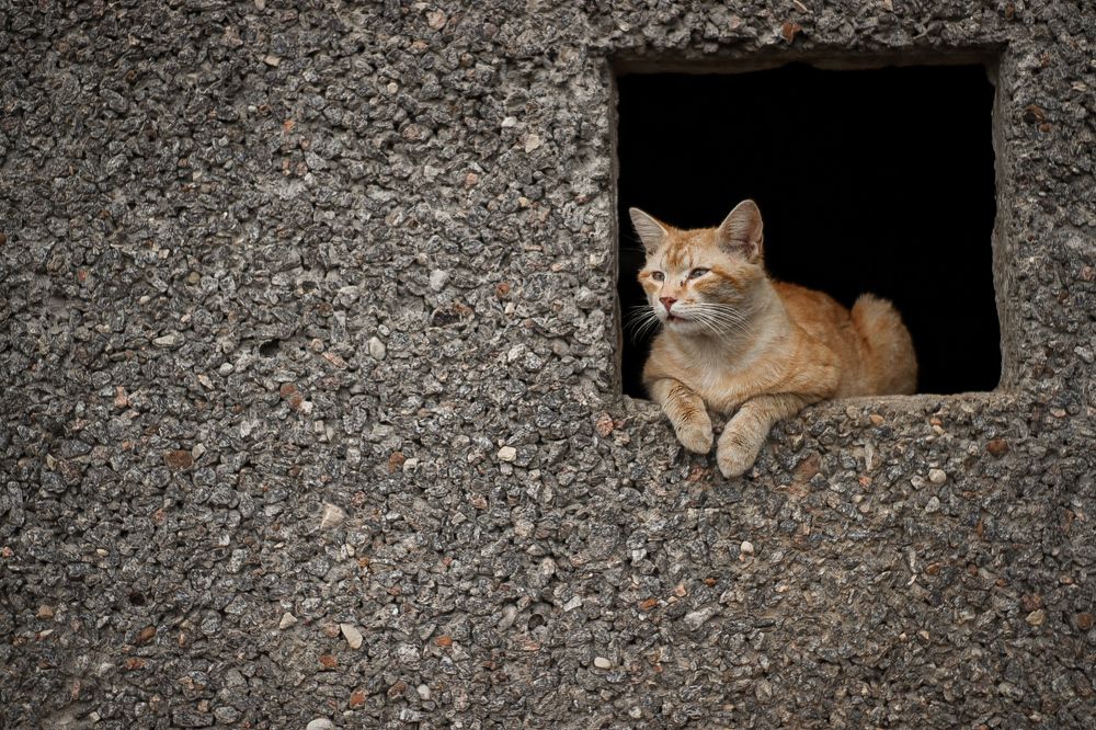 Photograph by Ася Весна