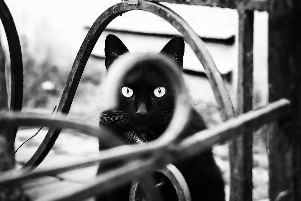 Photograph by Наталья Суслова