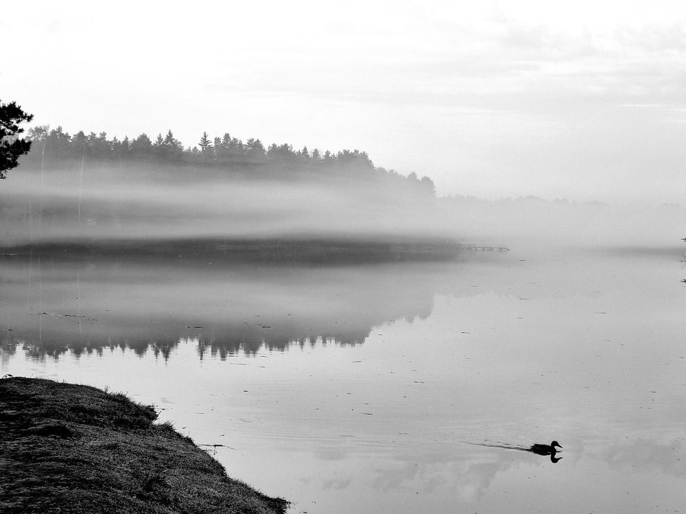 Photograph by Максим Иванов